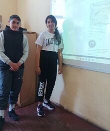 Безопасност на движението по пътищата